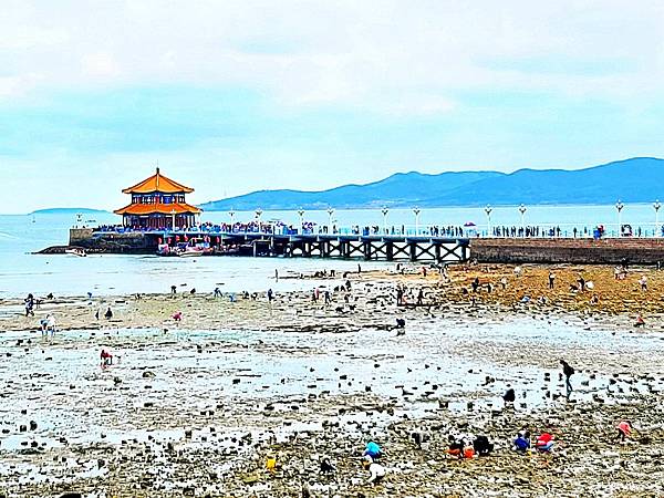 青島棧橋海邊吹風