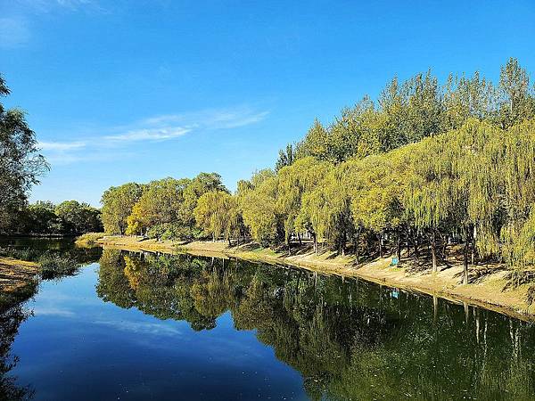 北京奧森公園秋色之三