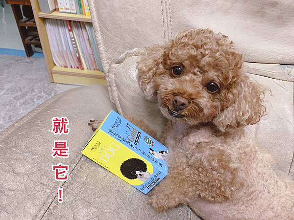 米知毛研微分子黃金17益兆菌 毛孩子保健品推薦 🐶🐶