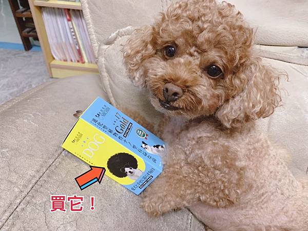 米知毛研微分子黃金17益兆菌 毛孩子保健品推薦 🐶🐶