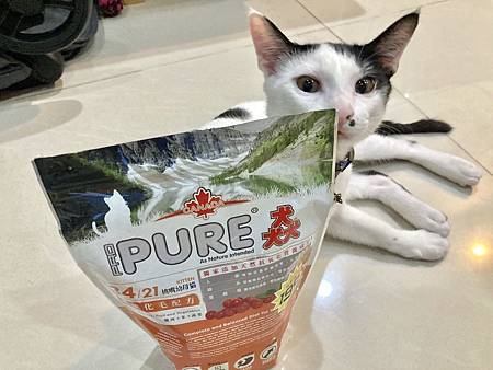 ☆PURE 猋品牌乾糧___寵物身體保養級飼料分享☆