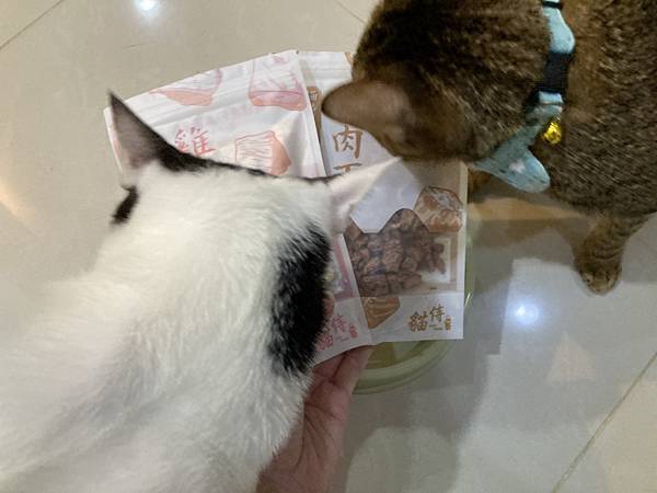 【貓侍Catpool】寵物凍乾零食試吃分享🐱