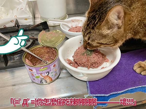 Petzoo 主食高肉源貓咪罐頭開箱評價★★★