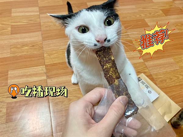 PU-CHi讓毛小孩撲吃的寵物漢方零食😆