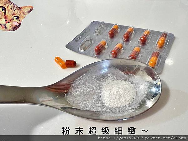 【Dr.MAO毛孩健寶】腸道機能保養加強版PLUS益生菌膠囊