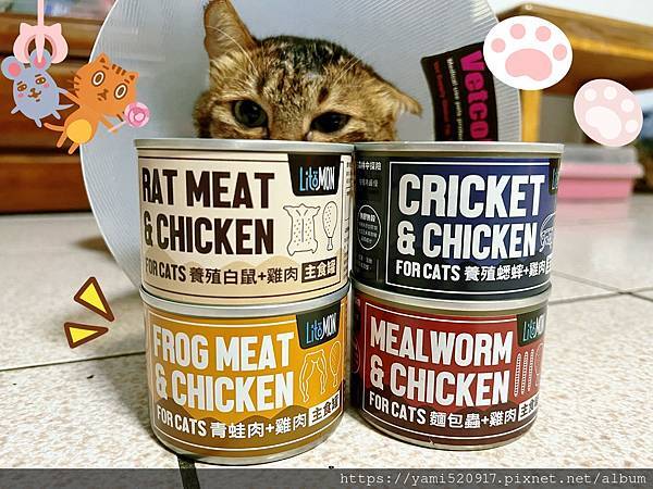 貓主食罐開箱🐱怪獸部落無膠主食罐| 推薦一種肉主食罐(1種肉