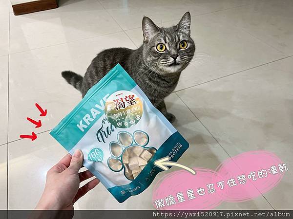 新品牌 KRAVE 渴望 無榖貓飼料，凍乾主食罐評價