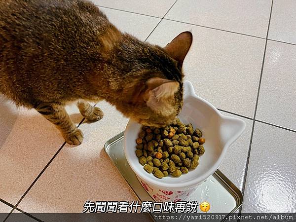 2023飼料推薦 八犬寵物/Nutrience紐崔斯CARE