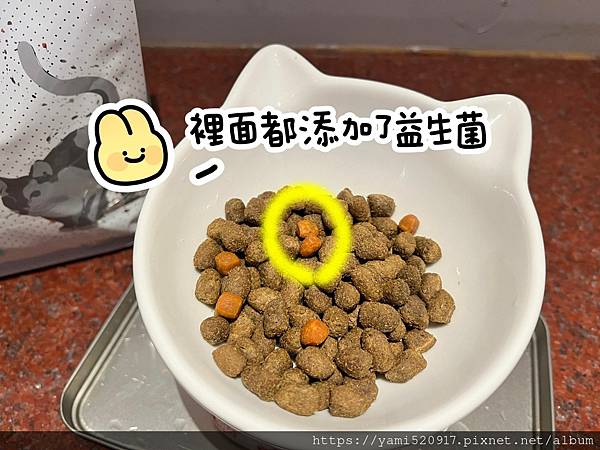 2023飼料推薦 八犬寵物/Nutrience紐崔斯CARE