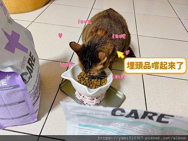 2023飼料推薦 八犬寵物/Nutrience紐崔斯CARE