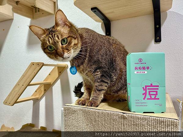 女人知己試用大隊,口碑行銷,部落客行銷,babywhite美白精華,babywhite精華評價,babywhite7大問題精華,配方有保濕基礎,吸收超快,開架保濕推薦,好用精華液,妝前保養推薦,台灣保養品推薦