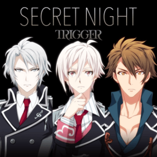 SECRET_NIGHT_(in-game_cover).png