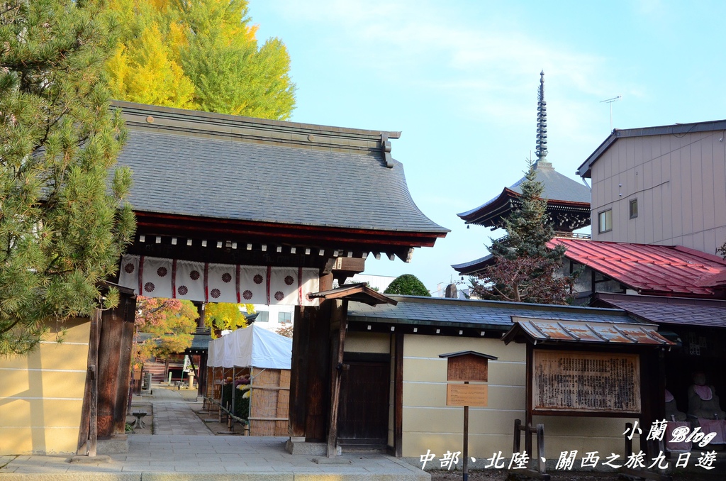 DSC_1138_國分寺.jpg