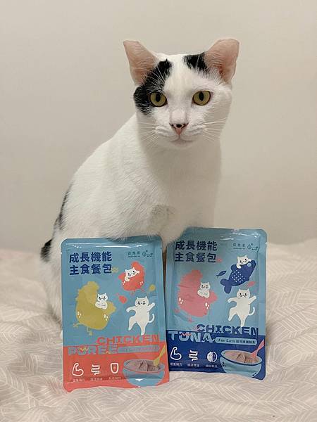 453644435_466890552982421_4526927699870396268_n.jpg 試用