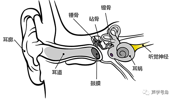 對二胡聲音偏好幾個因素