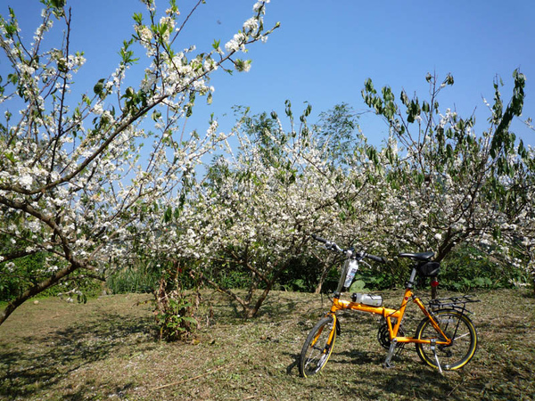 080.jpg 080.jpg