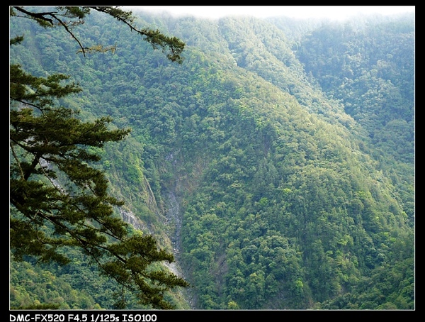 南橫挑戰之旅第三日30.jpg