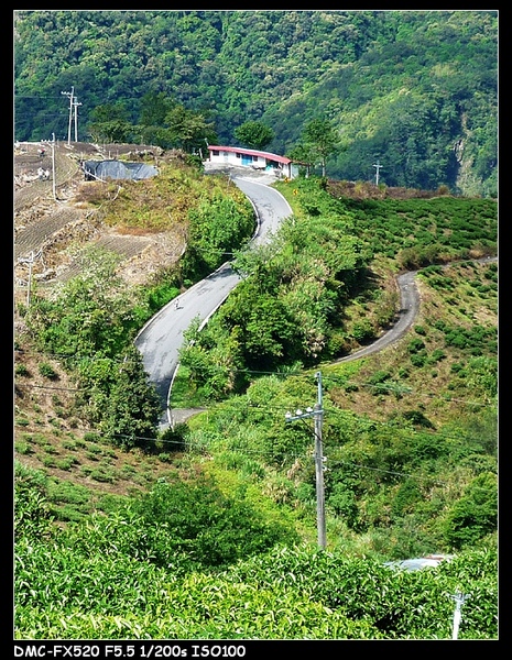 南橫挑戰之旅第三日33.jpg