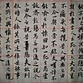 DSC00886.JPG
