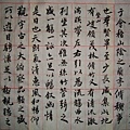 DSC00884.JPG