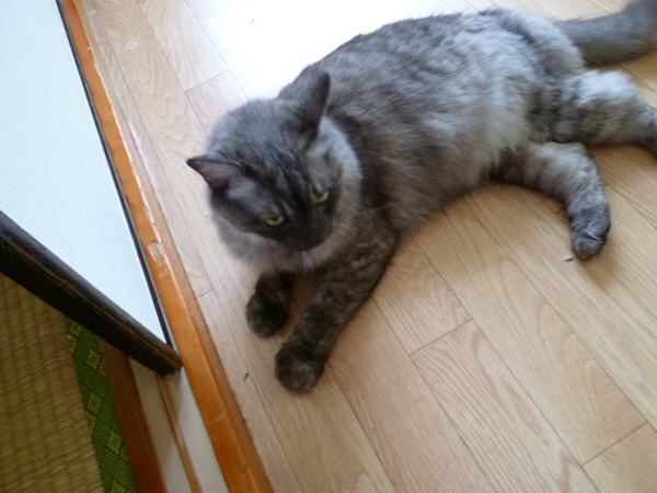 P1010173.jpg P1010173.jpg