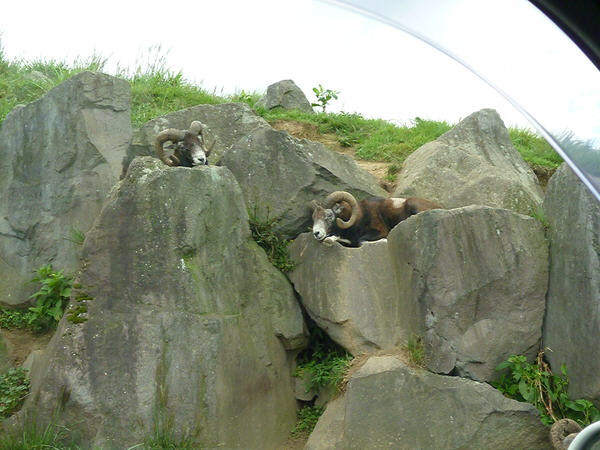 P1160660.jpg P1160660.jpg