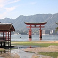 DSCN8010.JPG DSCN8010.JPG
