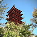 DSCN8024.JPG DSCN8024.JPG