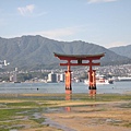 DSCN8023.JPG DSCN8023.JPG