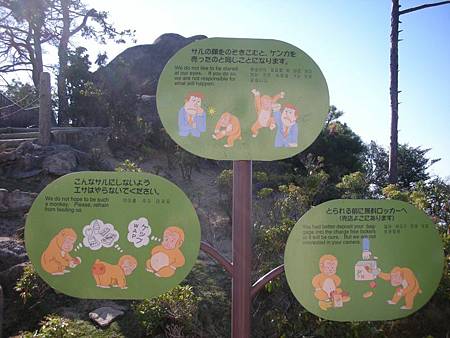 DSCN7993.JPG DSCN7993.JPG