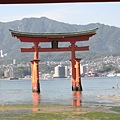 DSCN8018.JPG DSCN8018.JPG
