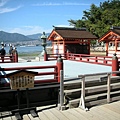 DSCN8016.JPG DSCN8016.JPG