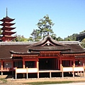 DSCN8015.JPG DSCN8015.JPG
