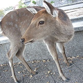DSCN7923.JPG DSCN7923.JPG