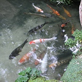 DSCN7964.JPG DSCN7964.JPG