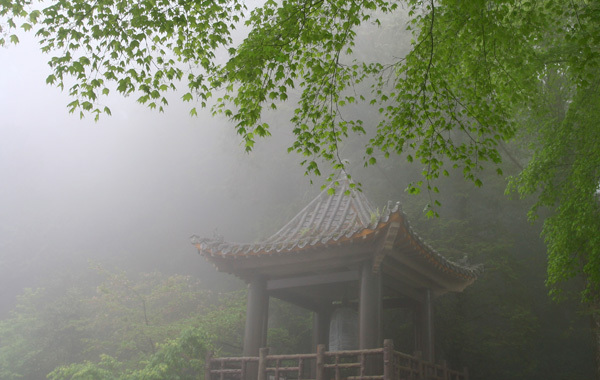 雨霧中的鐘樓