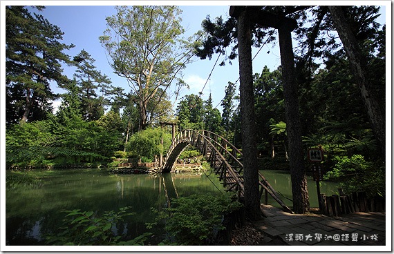 溪頭大學池 溪頭大學池