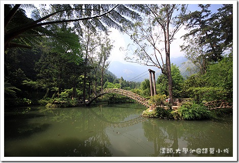 溪頭大學池 溪頭大學池