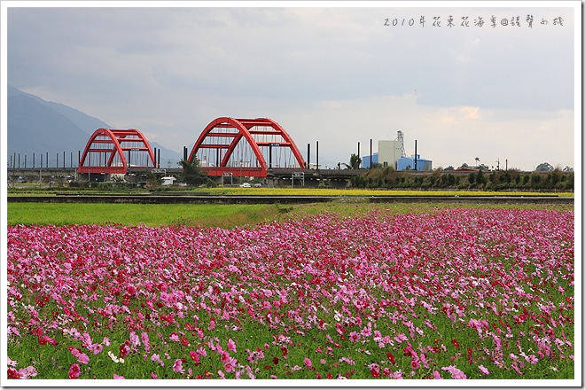 2010年花東花海季-玉里