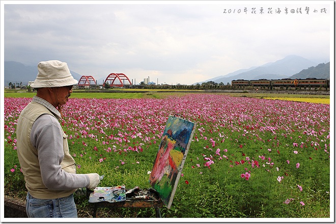 2010年花東花海季-玉里