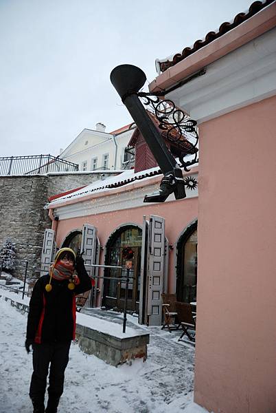 DSC_8537.jpg DSC_8537.jpg