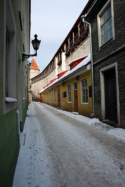 DSC_8558.jpg DSC_8558.jpg