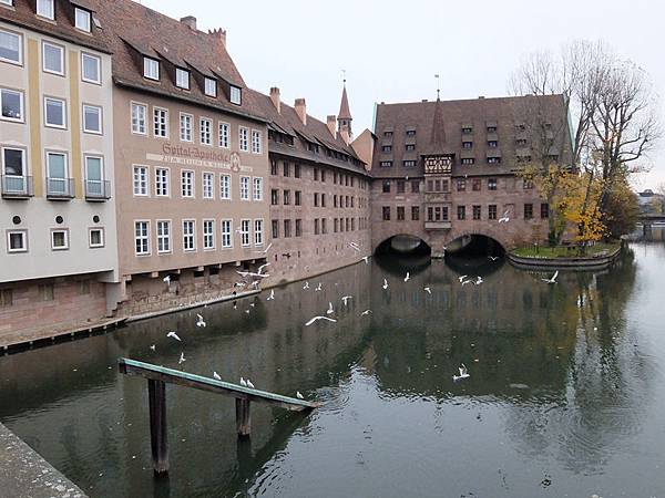 DSCF8781.jpg DSCF8781.jpg