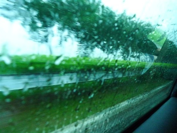 第一次這麼討厭下雨!