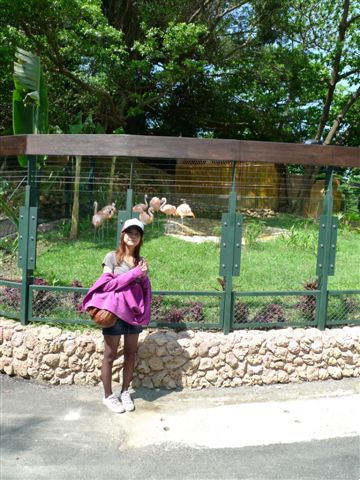 一大早去動物園