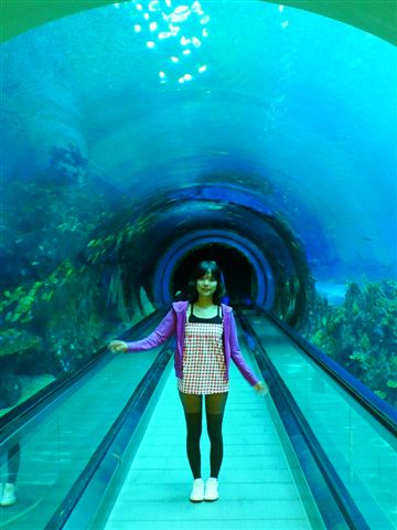 電扶梯還沒開~可以盡情的看+拍