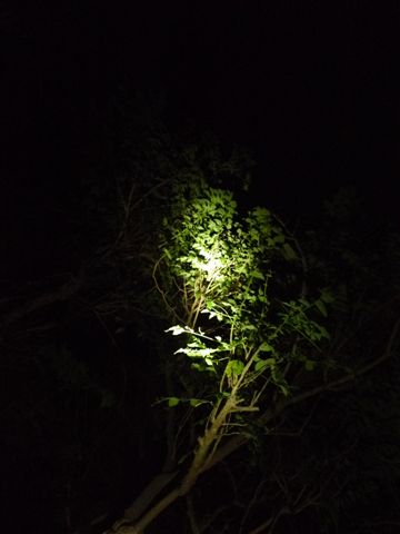 晚上夜遊..只有客人我們兩個