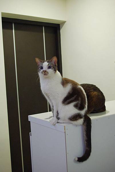 IMGP6225.JPG