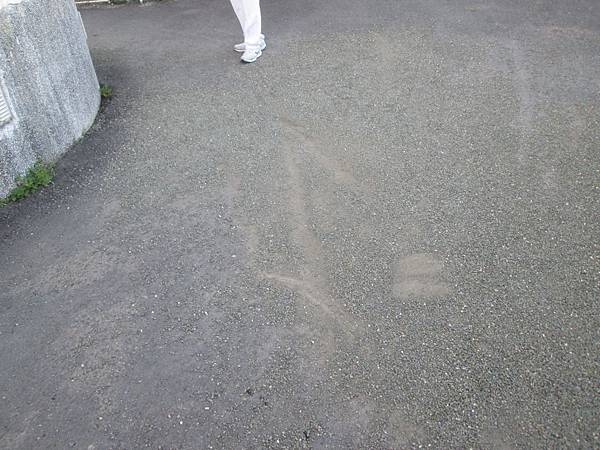 IMG_0278.JPG IMG_0278.JPG