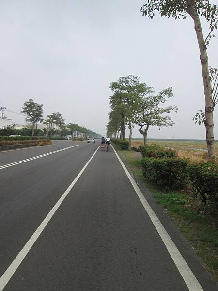 IMG_0790.JPG IMG_0790.JPG